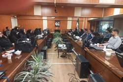 نشست صمیمانه رابطین امور ایثارگران دانشگاه با مسئولین شاهدو ایثارگر وزارت بهداشت و دانشگاه علوم پزشکی ایران 